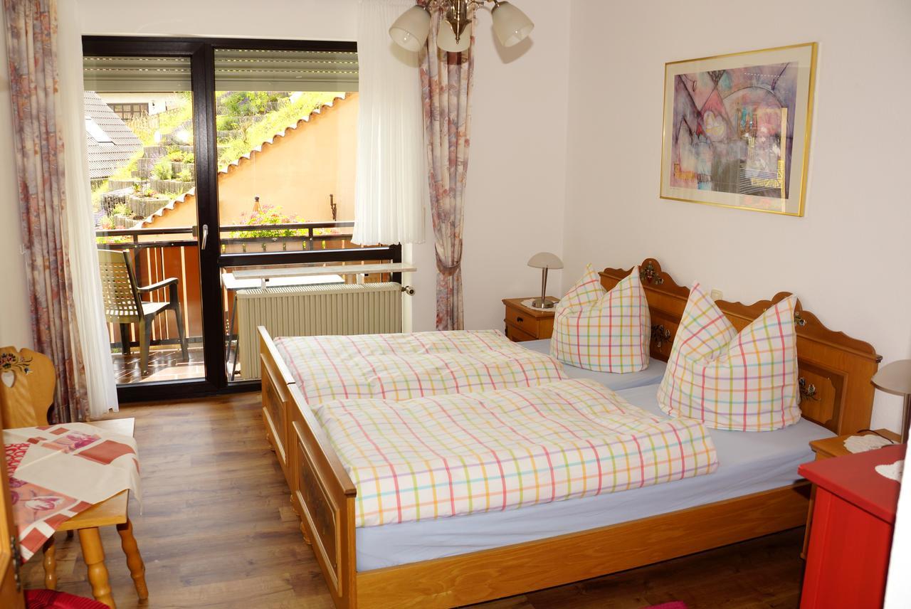 Hotel Garni Berghof Heigenbruecken Екстер'єр фото