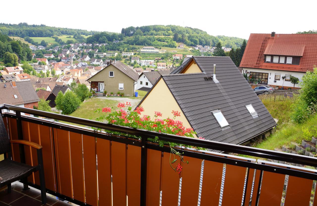 Hotel Garni Berghof Heigenbruecken Екстер'єр фото