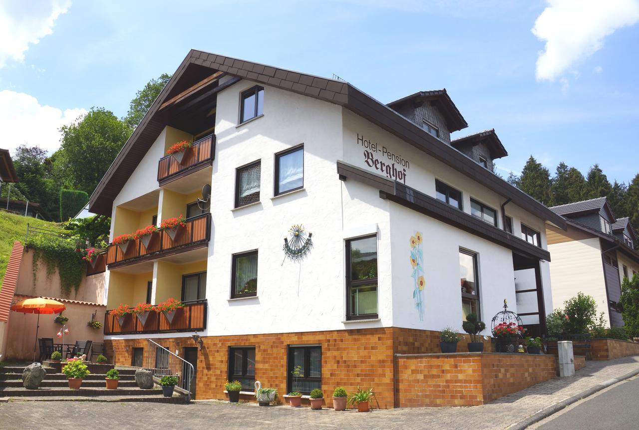 Hotel Garni Berghof Heigenbruecken Екстер'єр фото
